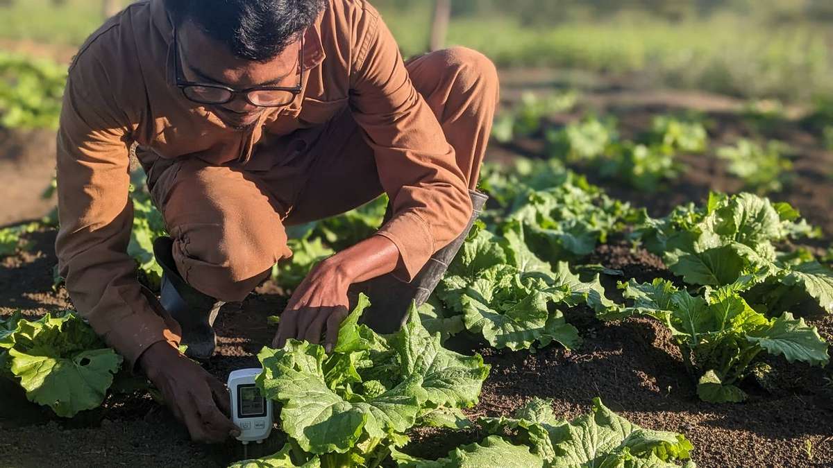 Minimal Irrigation Project (MIP)